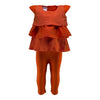 Two Feet Ahead - Infant Clothing - Girl's Ruffle Pant Set