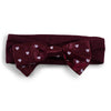 Two Feet Ahead - Mississippi State - Mississippi State Girl's Heart Headband